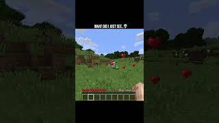 This Shouldn’t Be Possible  #minecraft #viralshorts