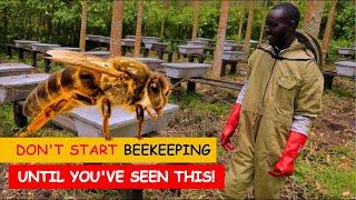 5 Steps To Becoming A Professional  Beekeeper | EPISODE 01