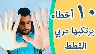 عشرة أخطاء يرتكبها مربي القطط و نصائح و معلومات عن كيفية تربية القطط