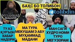 БАҲС БО ТОЛИБОН Абу Муҳаммад Мадани ابو محمد مدني