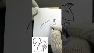 Рисунок белки для срисовки.