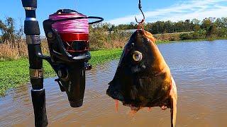 This Lagoon Has Man Sized Fish!! (Surprise Catch)