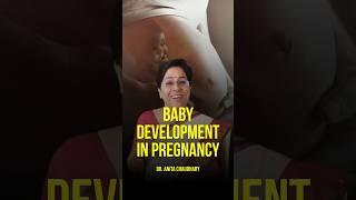 Understanding Baby Development in Pregnancy #pregnancycomplications #pregnancytips