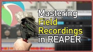 Mastering Field Recordings in REAPER