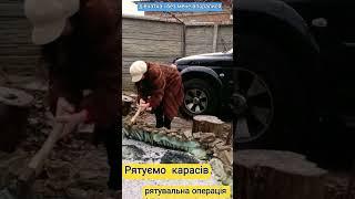 Operación de rescate salvamos la carpa -2015 рятувальна операція рятуємо карасів