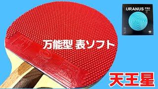 Good value for money!! High-performance Short pips｜URANUS[YINHE][Table Tennis]