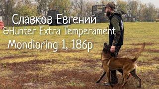 Малинуа Hunter Extra Temperament aka Флойд& Славков Евгений. Состязания мондьоринг 1, 186б.