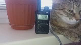 Поездная радиосвязь 2130 кГц. YAESU VX-3R