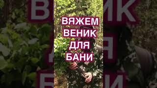 Березовый веник для бани как связать быстро и прочно #Shorts