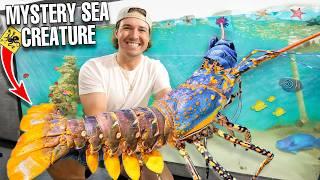 Stocking My SALTWATER POND with HUNDREDS of EXOTIC SEA CREATURES!