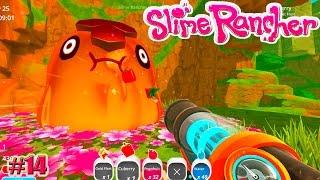 Slime Rancher: МЕДОВЫЙ БОСС (СЧАСТЛИВАЯ ФЕРМА) (14 серия)