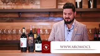 VIÑA AROMO 100 AÑOS WBS SOMMELIER