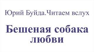 Юрий Буйда. Читаем вслух - Бешеная собака любви