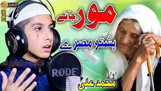 A zama Mori khori Ma shee Pashto Nazam bv Muhamamd Ali