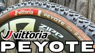 Vittoria Peyote Is The Best XC MTB Tire - Review