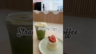 Dog-Friendly Coffee Spot in the IE | Stray Dogs Coffee
