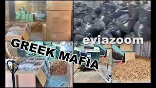 EviaZoom.gr:  Αλωνίζουν εκτελεστές της GREEK MAFIA σε Χαλκίδα & υπόλοιπη Εύβοια - Τι βρήκαν Αθηναίοι