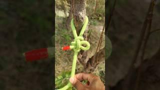A Quick Released knot  #rope #knots