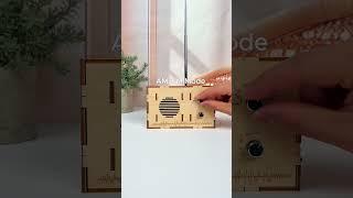 Build it,tune it,rock it! A DIY radio kit for kids—science has never sounded this fun#prunusradio#fy