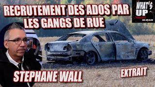 La MONTÉE des GANGS DE RUE / Stéphane Wall / What's Up Podcast (Extrait)