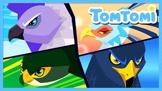 Sky Rangers | Let's protect the sky! | Bird Heroes | Animal Comics | Animal Songs | TOMTOMI