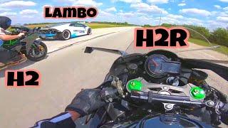 Power Of Kawasaki Ninja H2r | Ninja H2 Vs Ninja H2r Vs 1200HP Lambo | #shorts #h2r #kawasakininjah2r