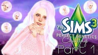 The Sims 3 Perfect Genetics Challenge (Part 1) Welcome!