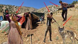 Fear of wolves to the relocation of the campaign in Zahra's nomadic family