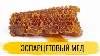 Мед. Эспарцетовый мед