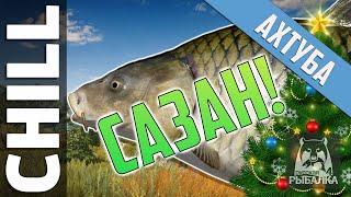 Russian Fishing 4 - RF4 | NEW YEAR WILD CARP | Akhtuba River