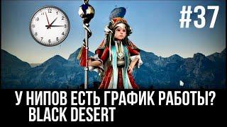 Black Desert - РАСШИРЕНИЕ ИНВЕНТАРЯ ЧАСТЬ 2 #37