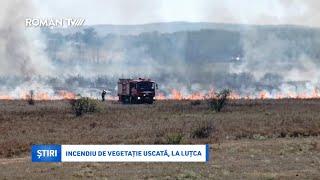 VIDEO / Incendiu de vegetație uscată, la Luțca