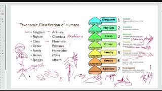 Paleontology Previous year Q&A and Numerical class video-14: BRAHMASTRA (Hinglish)