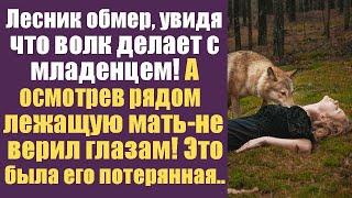 Лесник застыл, увидев, что волк делает с младенцем. Его сердце замерло, а разум отказывался верить