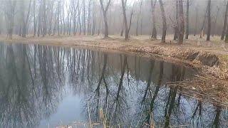 Foggy morning near the lake. Ukraine. Туманний ранок біля озера.