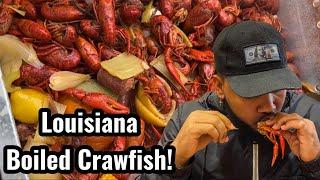 How To Make Louisiana Boiled Crawfish | Southern Cooking | Chef AldenB