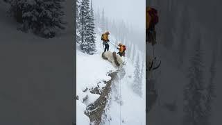 Ranger Save a Trapped Mountain Goat! #animalrescue #wildlifeencounter