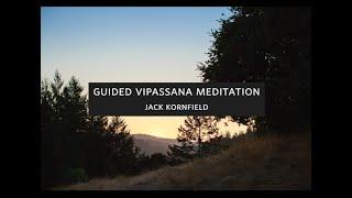 Jack Kornfield - Guided Vipassana Meditation - Spirit Rock Meditation Center
