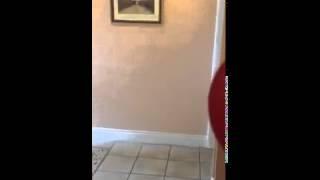 Dad Reacts Badly to Air Horn Scare