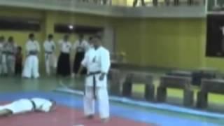Sensei Karen Avetisyan WTFSKF