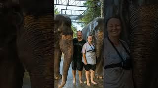 Bathing with Elephants in Bali – An Ethical Encounter