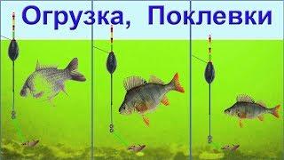 ПОКЛЕВКИ на поплавок. Ловля в проводку, огрузка снасти, подпасок, выставление глубины. рыбалка fish