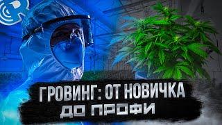 Гровинг: от новичка до профи.