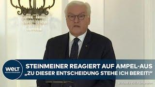 AMPEL GEPLATZT: Auflösung des Bundestages! Steinmeier reagiert! Merz trifft Bundespräsident