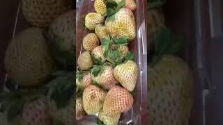 Pineberries