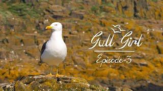 Gull Girl - Episode 3 - Migration