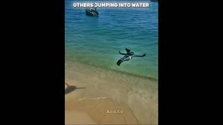 Others jumping into water