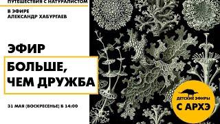 Детский эфир «Больше, чем дружба» в рамках рубрики «Путешествия с натуралистом»