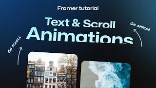 Text Animation & Scroll Animation - Framer for Beginners | No-code Tutorial