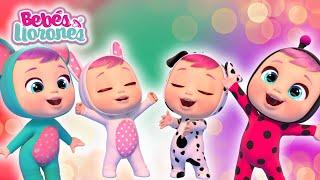 ESPECIAL NAVIDAD ⭐ BEBÉS LLORONES  TODOS los episodios | Videos para niños en español